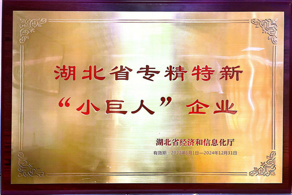 2022專(zhuān)精特新小巨人